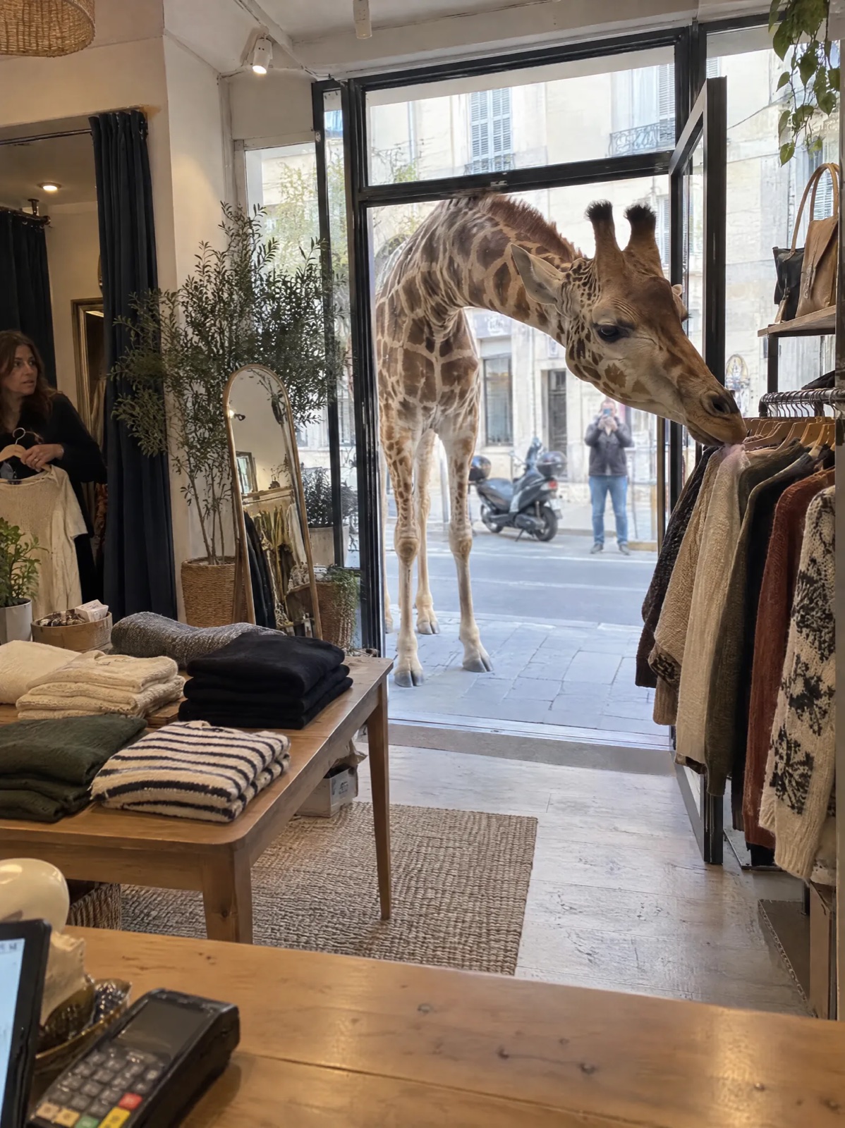Une girafe passe la tête par la porte d’une boutique de vêtements et renifle un pull sur un portant, image générée par IA